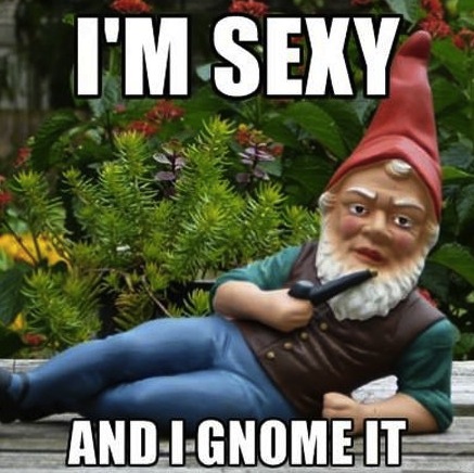 funny-smooth-cool-lying-down-sexy-gnome-it-pics